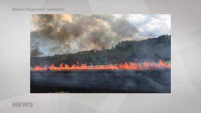 Hitze löst weiteren Feldbrand aus