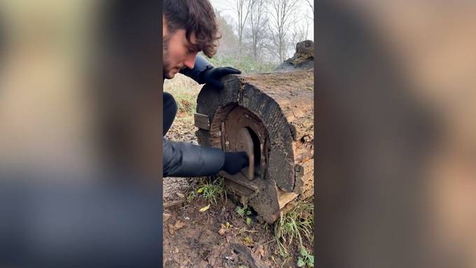 England: Paar findet Mini-Grab im Wald