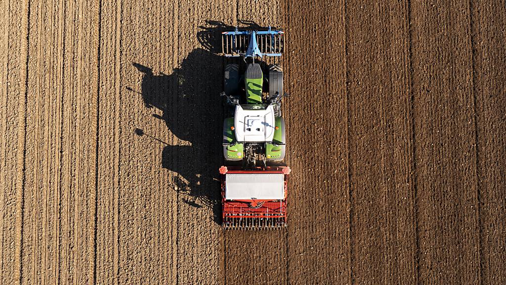 Im Kanton Thurgau setzt sich der Trend zu immer weniger und dafür grösseren Landwirtschaftsbetrieben fort. (Archivbild)