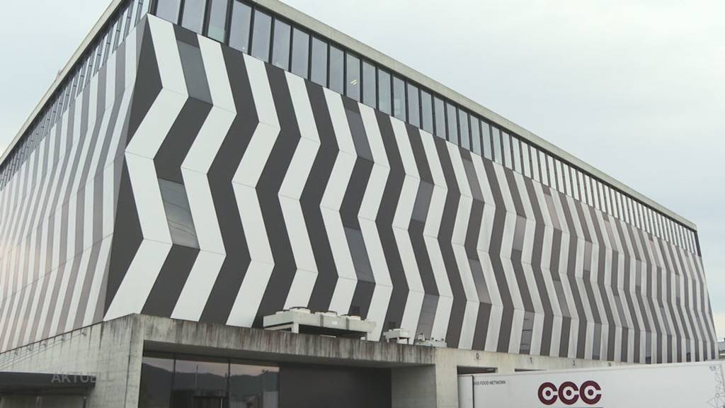 Tragischer Unfall: LKW-Chauffeur überfährt Arbeitskollegin