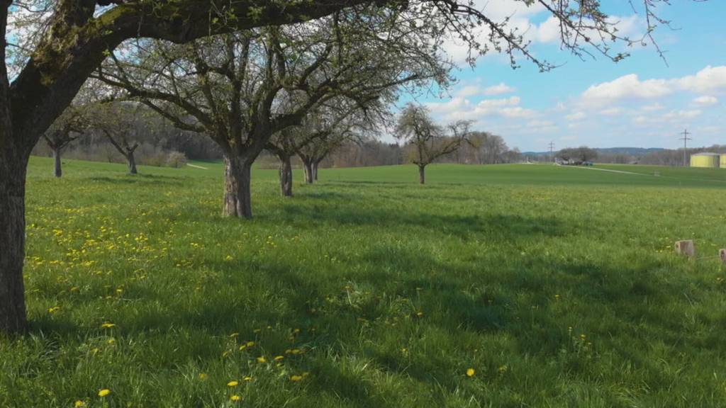 Ostschweizer Landwirtschaft trifft sich in Rapperswil-Jona