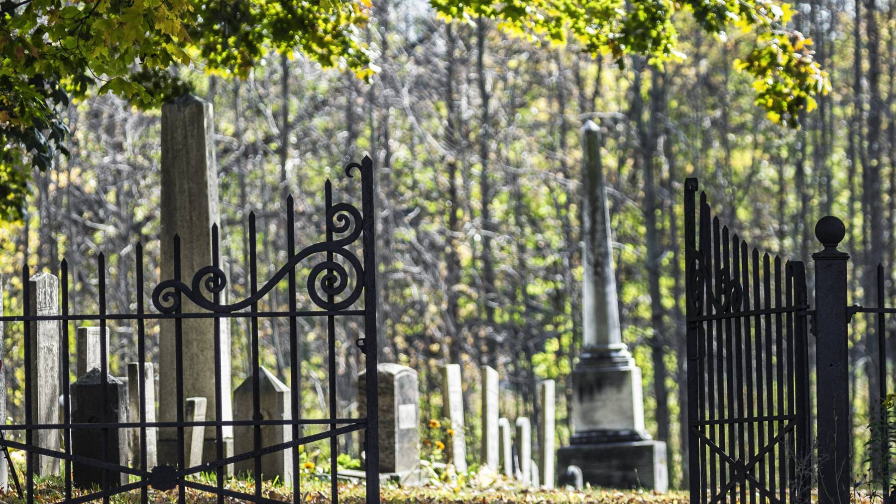 Das Tor zum Friedhof war zu, als die Frau den Friedhof verlassen wollte. (Symbolbild)
