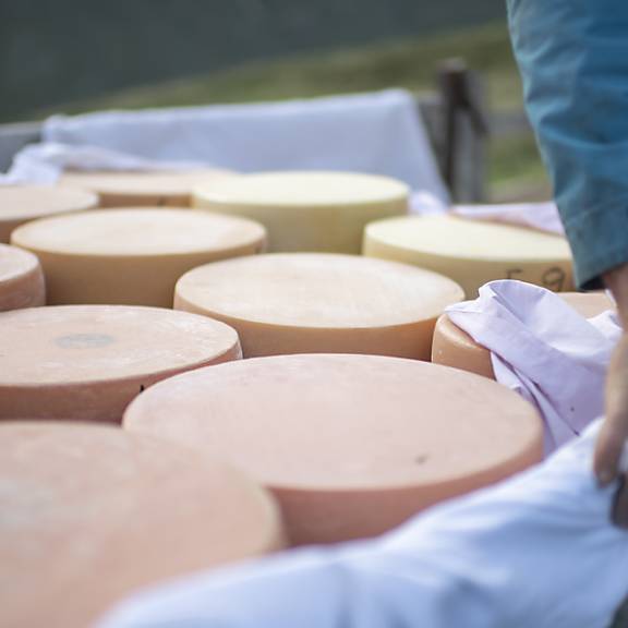 Schwindel mit «Emmentaler» - Käser wehrt sich vor Kantonsgericht