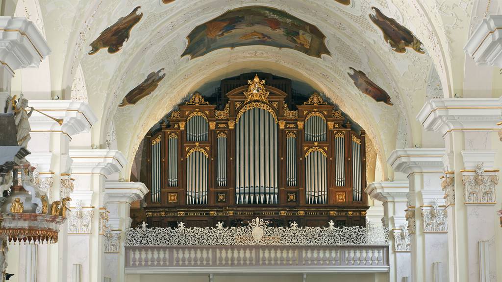 Die Klangwelt der grössten Orgel der Schweiz erleben