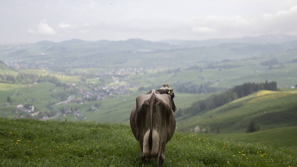 Zwar gab es 2023 weniger Probleme mit der Wasserversorgung der Alpwirtschaften, doch rechnet der Verband mit immer mehr und längeren Trockenperioden im Sommer. (Archivbild)