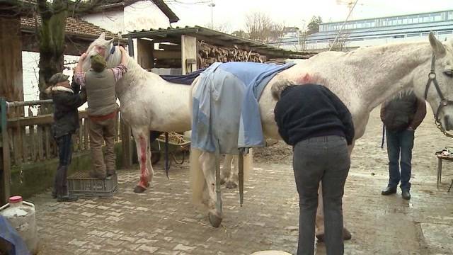 Kutscher erklärt Unfall