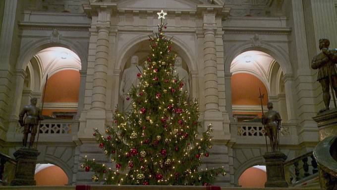 So feiern Parlamentarier Weihnachten