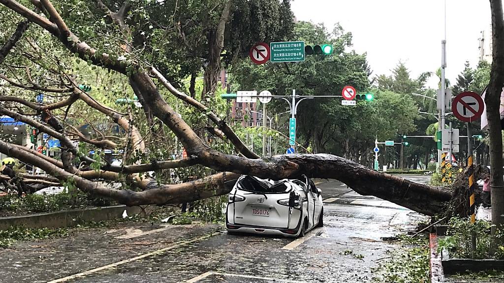 Ein entwurzelter Baum liegt auf einem schwer beschädigten Auto im Viertel Minsheng. Foto: Yu-Tzu Chiu/dpa