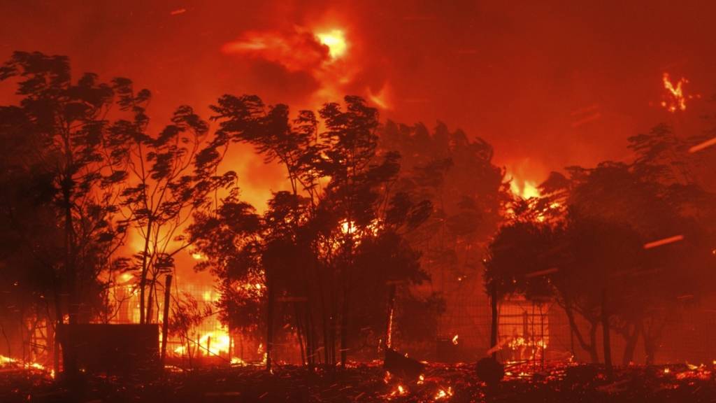 Das Feuer verbrennt ein Haus im Dorf in der Nähe der Stadt Alexandroupolis in der nordöstlichen Region Evros. Stürmische Winde fachen die Flammen der Waldbrände in ganz Griechenland an. Foto: Achilleas Chiras/AP