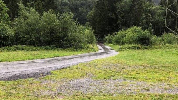 Doggen gehen auf Golden Retriever los