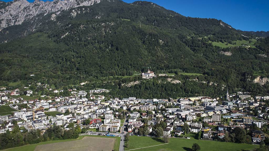 Liechtensteiner wollen ihre Regierung weiterhin nicht selber wählen