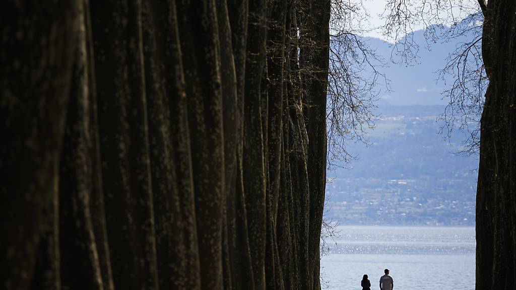 Forscher erkennen Depressionen am Gang von Patienten