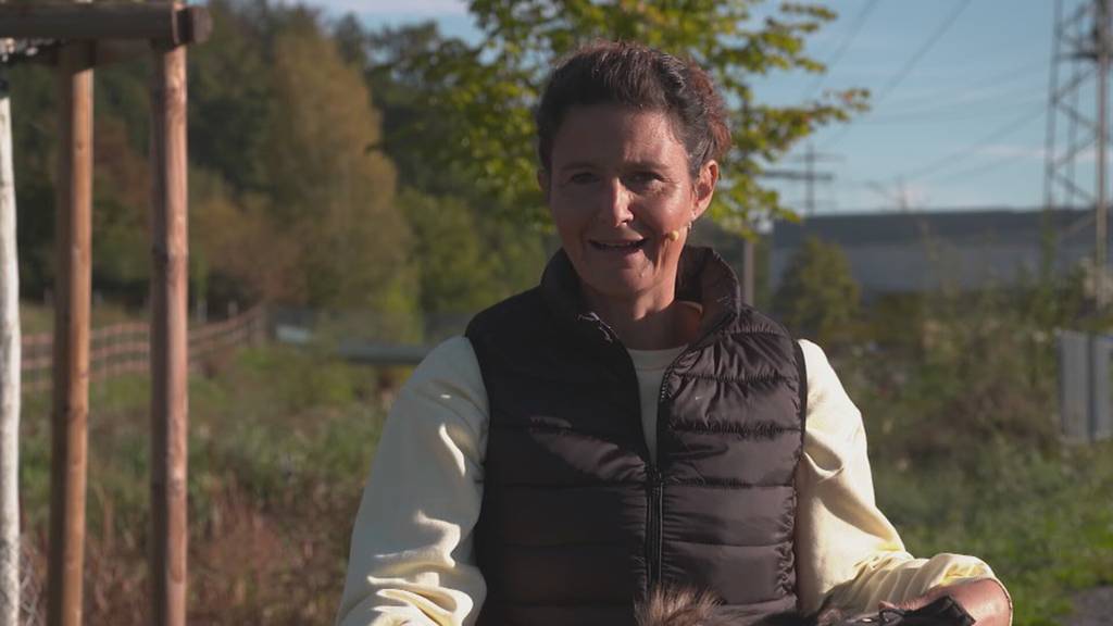 Teaser Tierisch