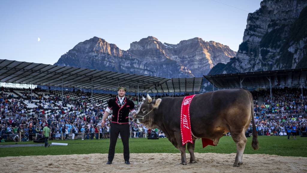 ESAF in Mollis schliesst mit einer positiven Rechnung ab
