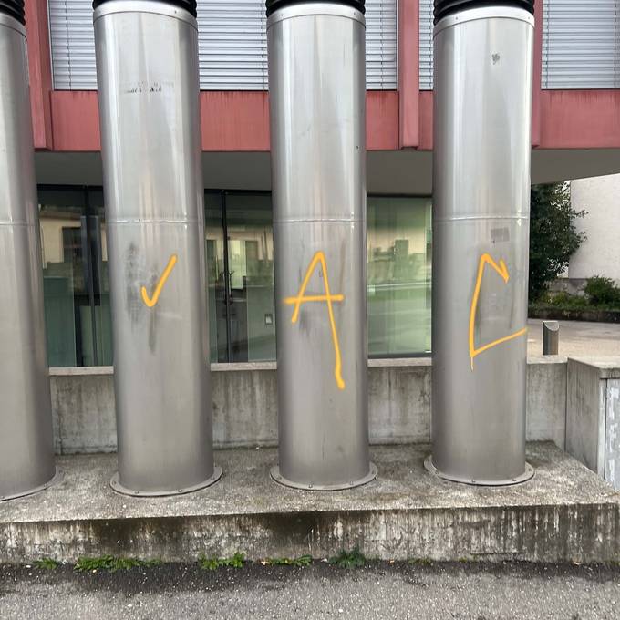 Polizei legt sieben jungen Sprayern in Lenzburg das Handwerk