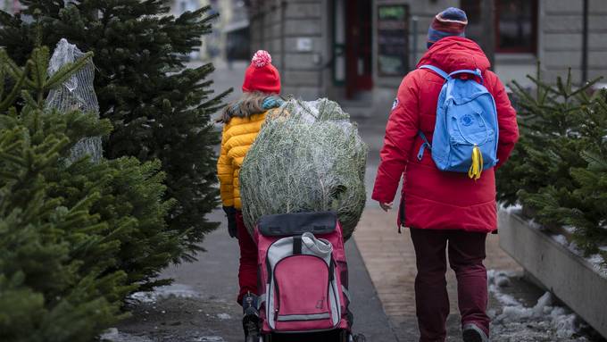 Zentralschweiz muss weiter auf weisse Weihnachten warten