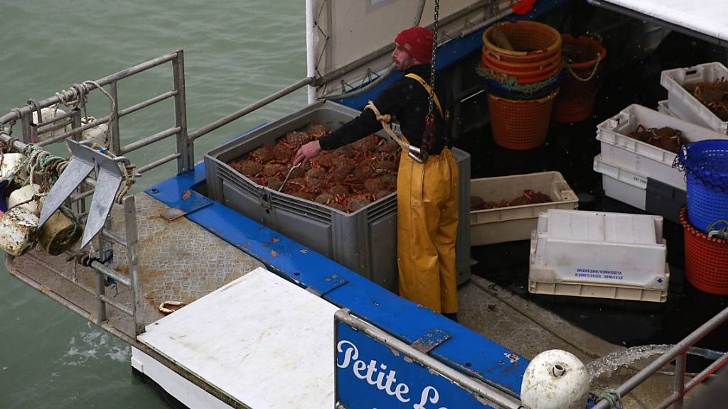 Ein Fischer entlädt Krabben von einem französischen Trawler, der aus britischen Gewässern in den Hafen von Granville in Frankreich eingefahren ist. Foto: Nicolas Garriga/AP/dpa