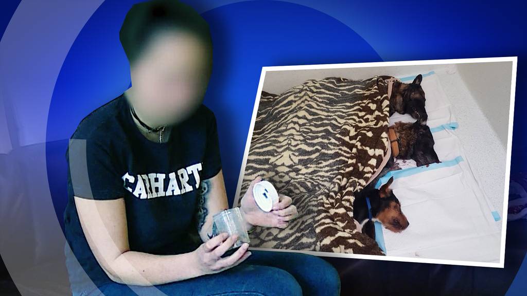 Hat eine Oberaargauerin ihre eigenen drei Hunde qualvoll umgebracht?