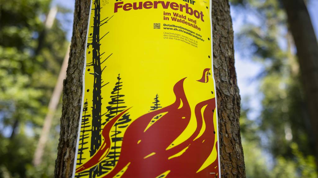 Im Kanton Zürich gilt ab Freitagmittag ein Feuerverbot im Wald und in Waldesnähe. Grund dafür ist die anhaltende Trockenheit. (Symbolbild)