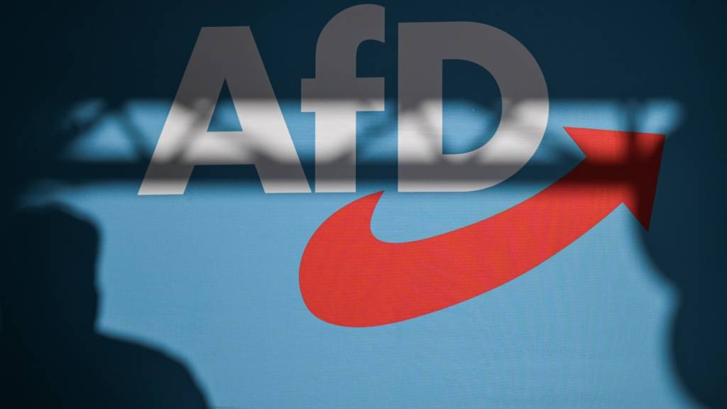AfD gewinnt in Eilverfahren um Einstufung als rechtsextrem