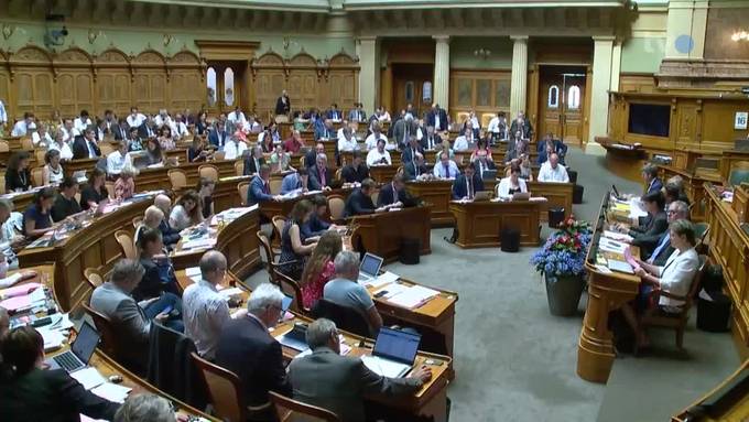 Nach Debakel: Politiker wollen Aufklärung des Skyguides-Ausfalles