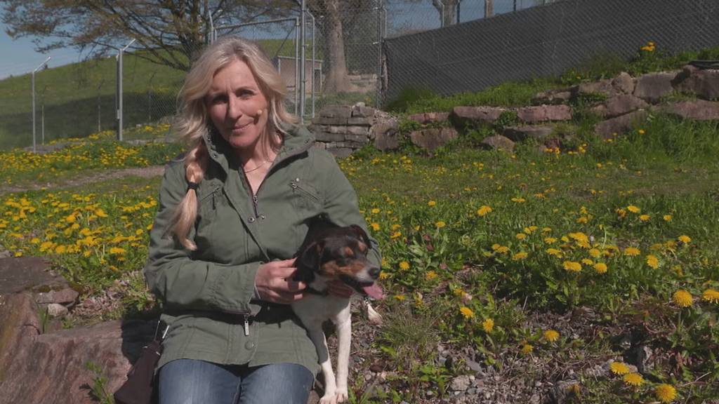 Vorschau Sendung Tierisch