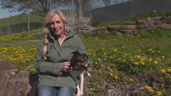 Vorschau Sendung Tierisch