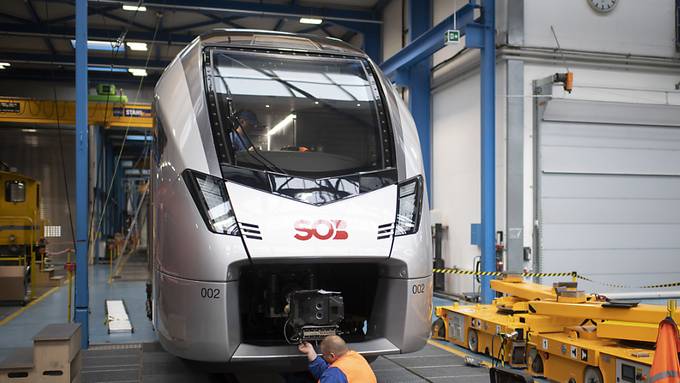 Stadler Rail übernimmt deutsche Elektronikfirma Vipco vollständig