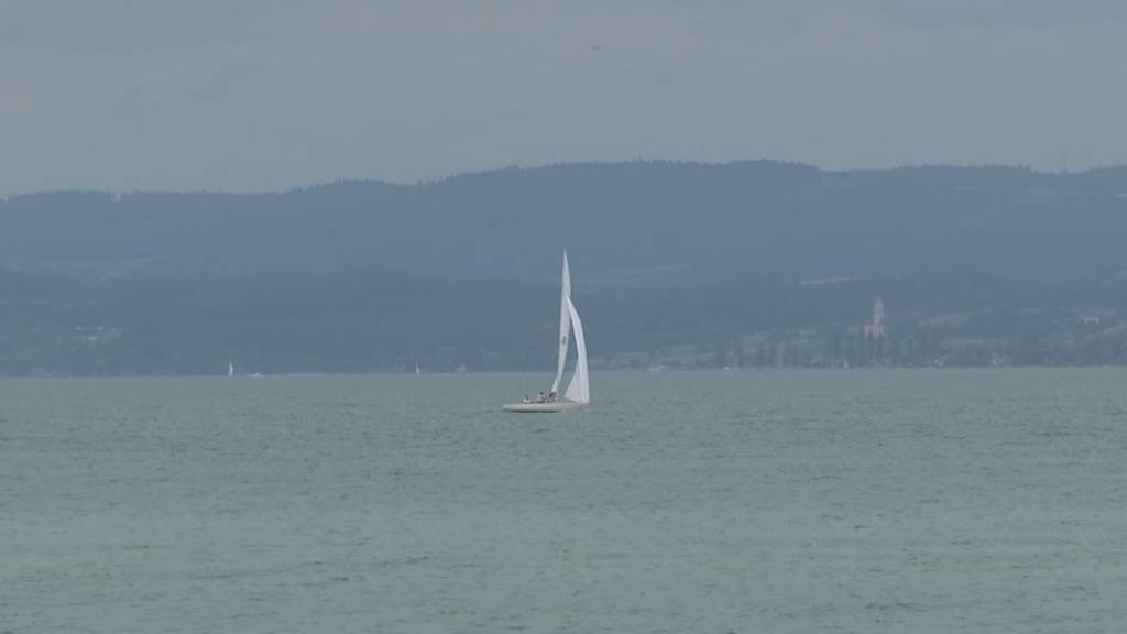 Zu wenig Fische: Berufsfischer am Bodensee in der Krise