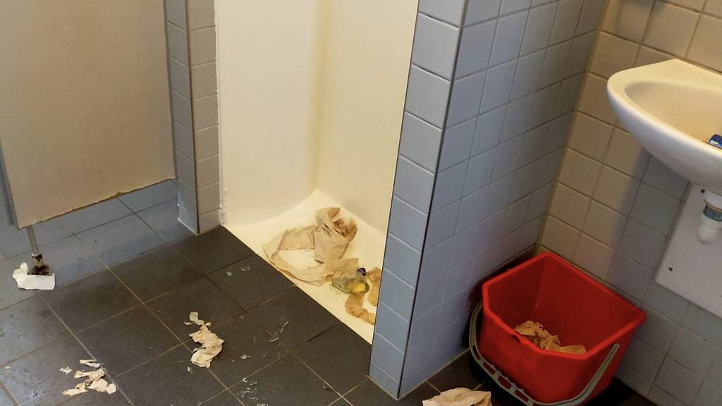 Stadt Thun geht jetzt mit Hunden gegen WC-Grüsel vor 