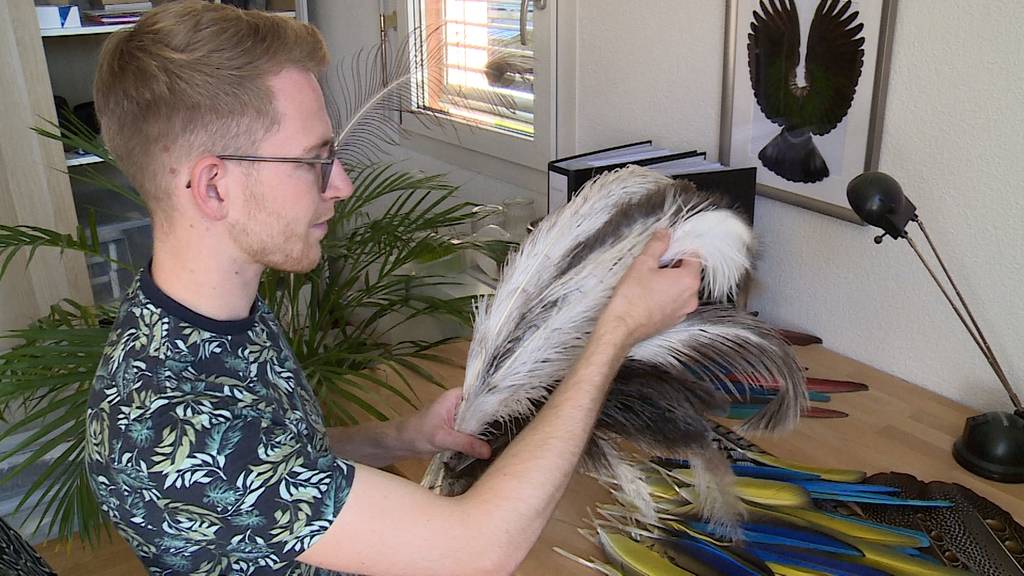 Faszination Vogelfedern