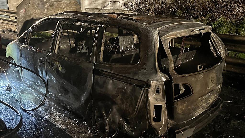 Die Luzerner Polizei rückte am Ostermontag zu einem Autobrand auf der A2 bei Sempach aus.
