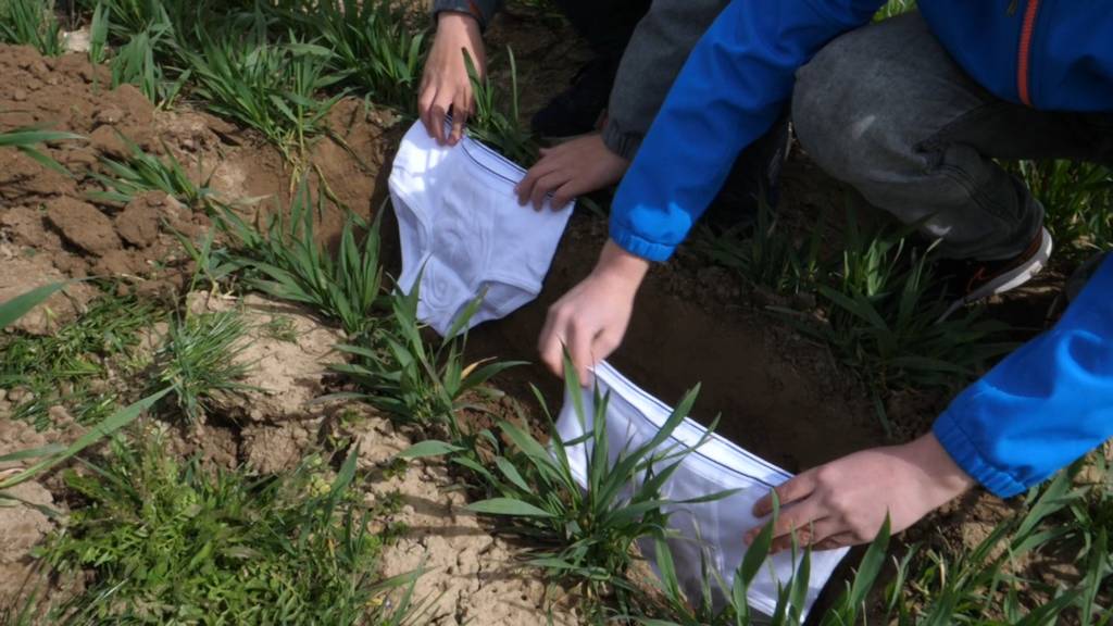 Tausend Hobby-Forscher vergraben Unterhosen im Garten