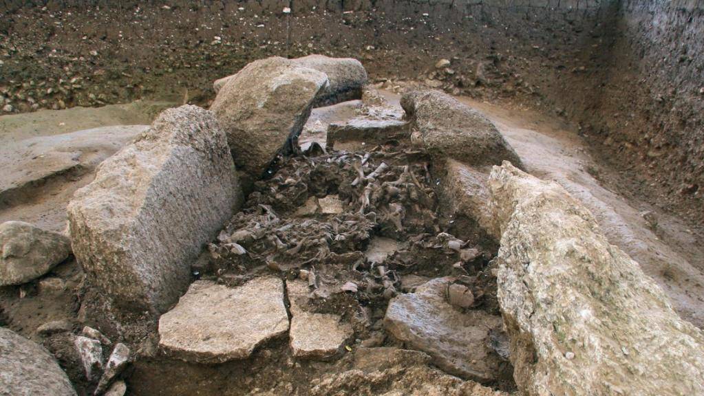 Schicht mit menschlichen Überresten in ihrer ursprünglichen Lage im Dolmen von Oberbipp.