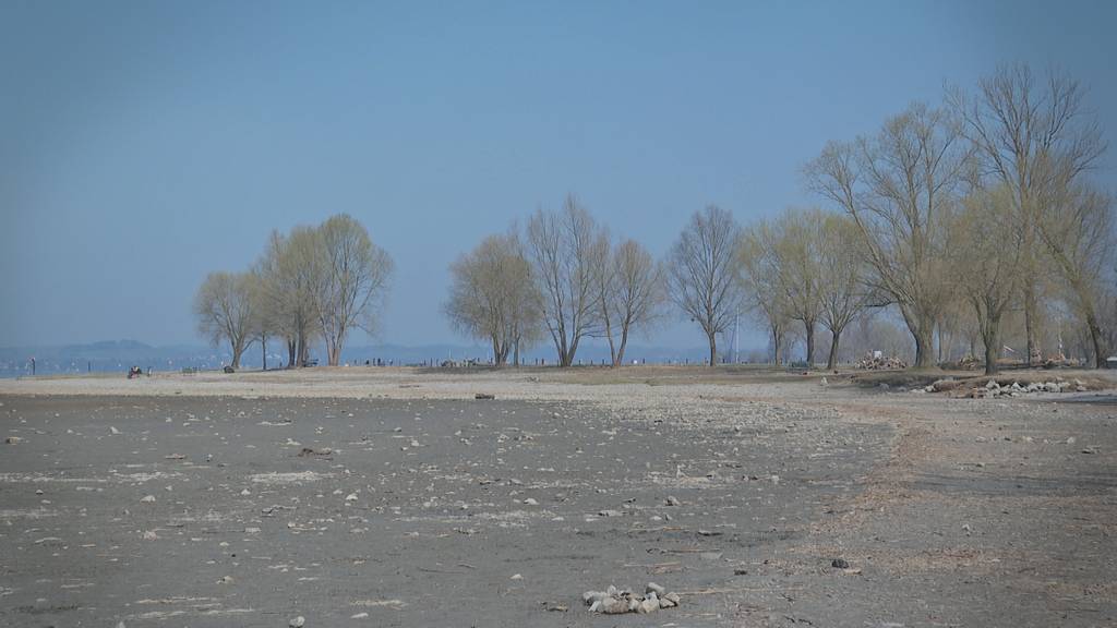 Trockenheit verschiebt Bodensee-Ufer um rund hundert Meter