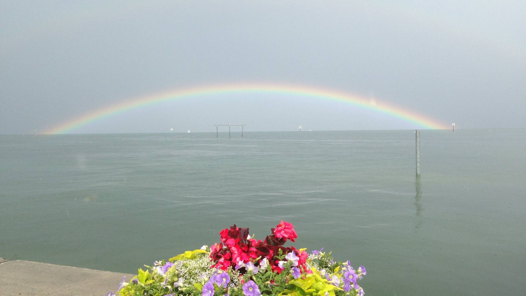 Dieser Regenbogen erschien am Donnerstag über dem Bodensee.