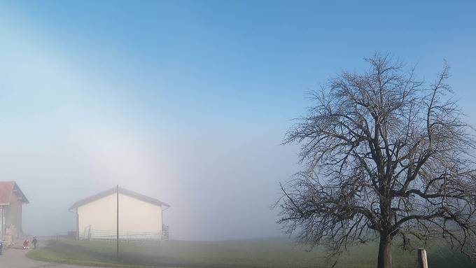 Unten grau, oben blau: Nebelmeer über der Ostschweiz