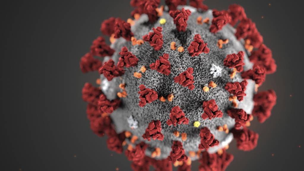 Die Zahl der bestätigten Coronavirus-Fälle in der Schweiz ist laut dem BAG bis Sonntagmittag auf 281 gestiegen. Für weitere 51 Fälle fehlt noch die Bestätigung durch das Referenzlabor in Genf.