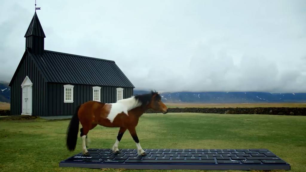 Ein Pferd beantwortet E-Mails für dich? Island macht es möglich