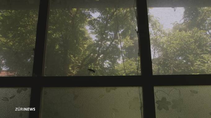 80 Jahre nach Hiroshima – Zürcherin dokumentiert den nuklearen Horror