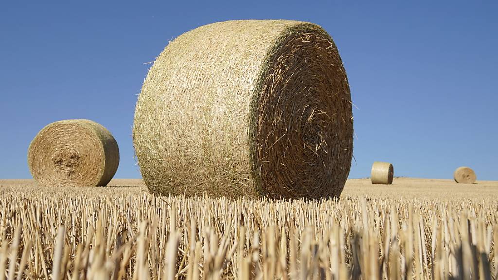 35-jährige Landwirtin in Murg SG von Strohballen verletzt