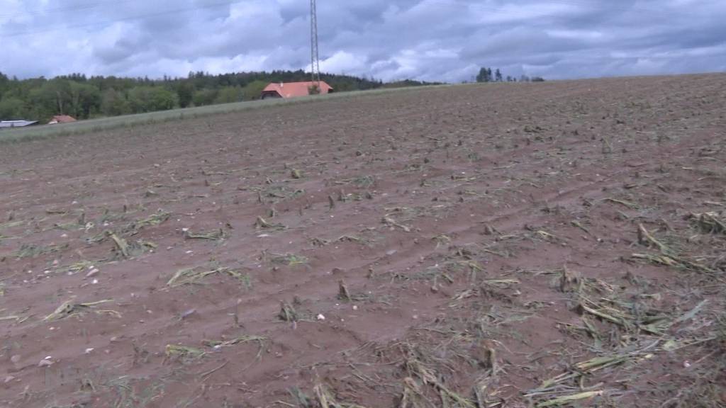 Massive Gewitterschäden: Hagel zerstört bei Bauern Felder und Ernten