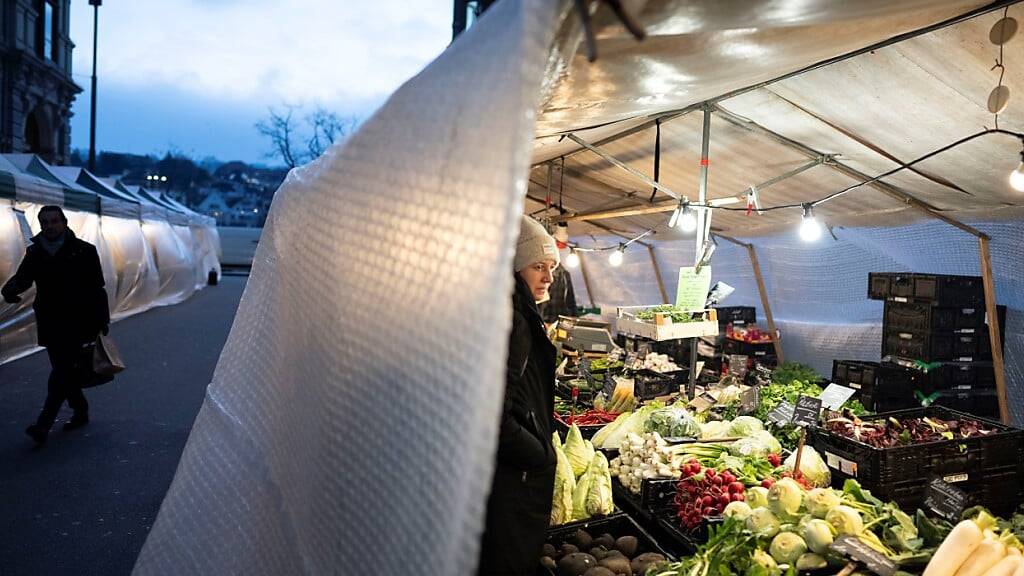 In den kommenden Monaten wird die Stadthausanlage beim Bürkliplatz umgebaut. Der Markt findet deshalb auf dem Münsterhof und an der Fraumünsterstrasse statt.