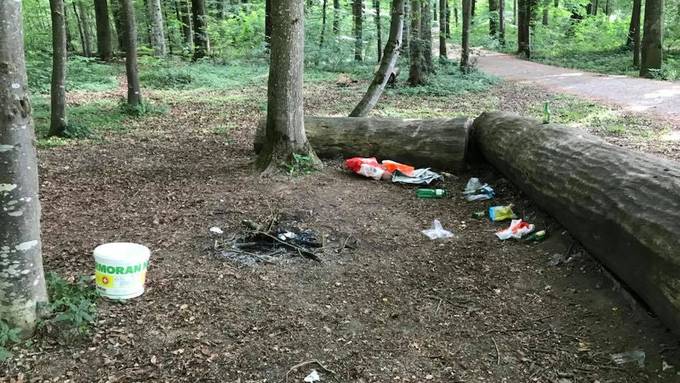 Ärger über zugemüllten Weidliwald