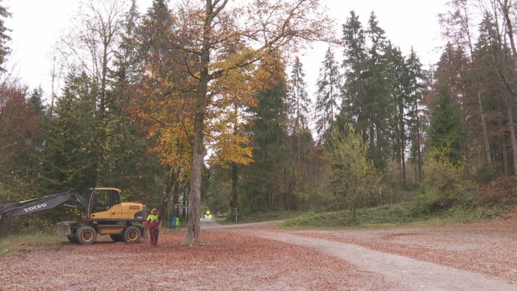 Baubeginn für Hochwasserschutzprojekt Buoholzbach in Nidwalden