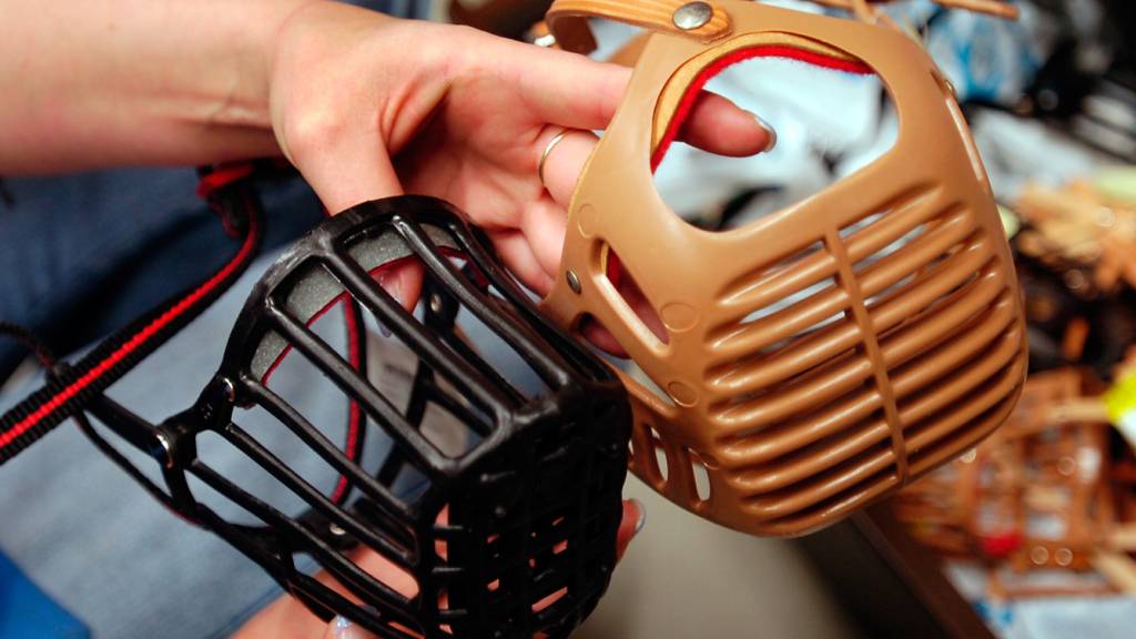 Hundehalter mit Terrier-Mischling blitzt vor Bundesgericht ab