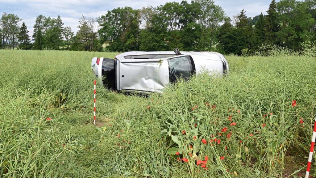 Der Unfallfahrer war am Dienstagmorgen in Richtung Sursee unterwegs, als er in Gunzwil, Gemeinde Beromünster, von der Strasse abkam.