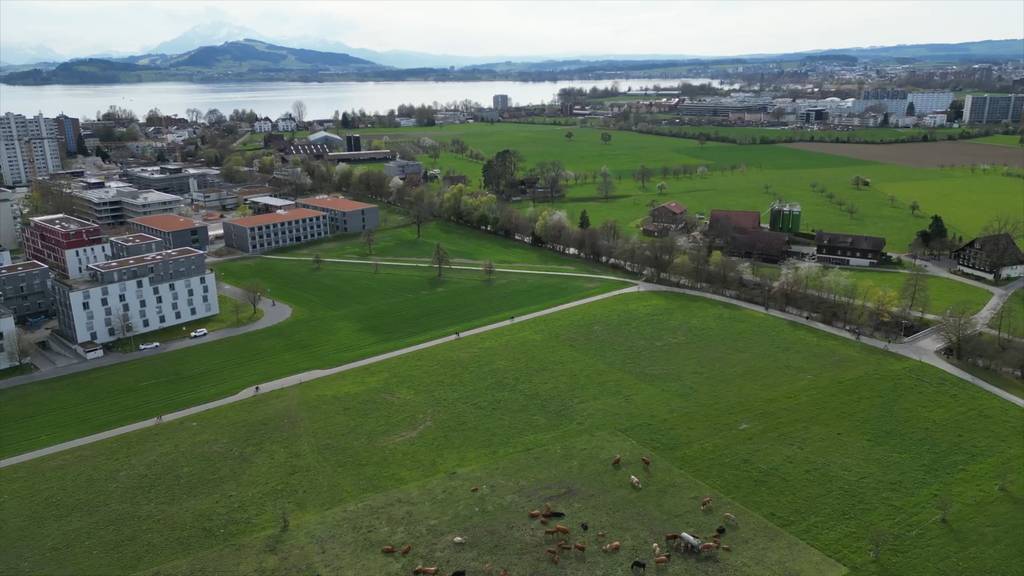 Die Lorzenebene ist die «Landschaft des Jahres 2026»