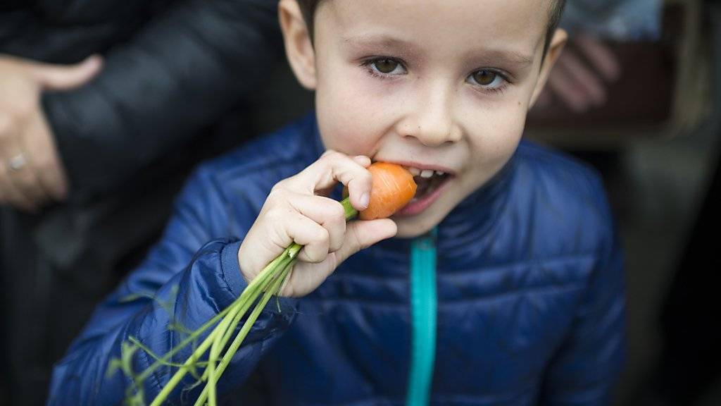 Gemüse steht bei Kindern oft nicht besonders hoch im Kurs. Forschende haben untersucht, wie man Kinder auch bei eher ungeliebten Nahrungsmitteln zum Zugreifen bewegt. (Archivbild)