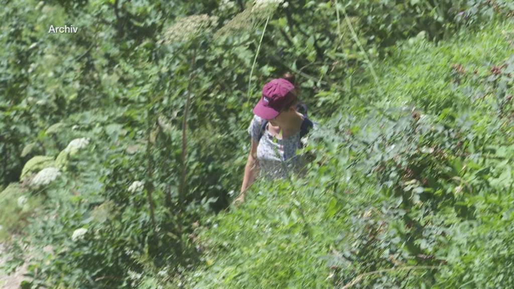 Bessere Signalisation statt baulicher Massnahmen beim Äscher